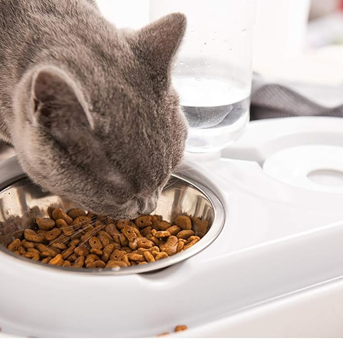 feeders PP+Hips+Stainless Steel Dog Drinking Device Automatic Dog Bowl Cat Bowl Double Bowl Food Bowl Pet Feeder Teddy Drinking Water Cat Water Dispenser Pink