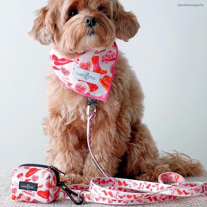 Lucy & Co. Dog Poop Bag Holder - Leak Proof Dispenser with Leash Attachment - Easy Refills - Hygienic Pet Poop Pickup - Pink Orange Western