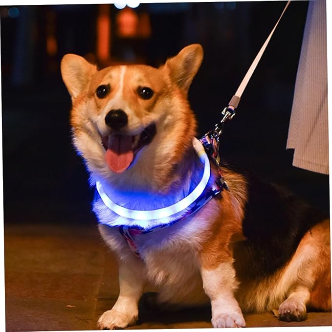 USB Rechargeable LED Pet Collar Lightweight Luminous Dog Collar Comfortable Wear Resistant Material Night Safety Multifunctional Glow Warning Decoration