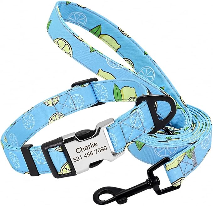 Cute Custom Dog Collar Leash Personalized Fruit Print Nylon Dog Collar Lead Engraved Name ID for Small Medium Large Dog Pitbull 159 Blue Set S