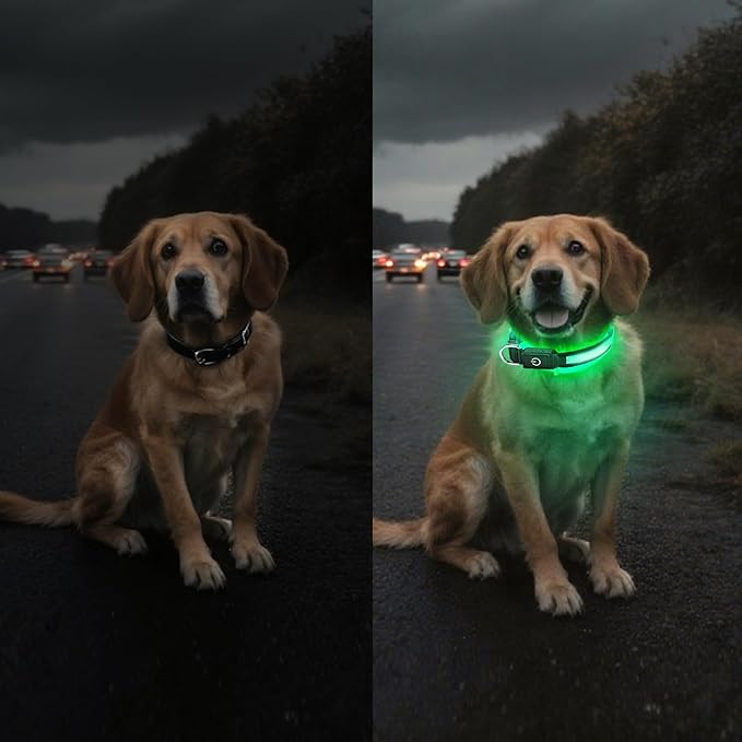 Light Up Dog Collar 13 Color Models, USB Rechargeable, Adjustable Comfortable Soft Mesh Safety Dog Collar from 15" to 20”