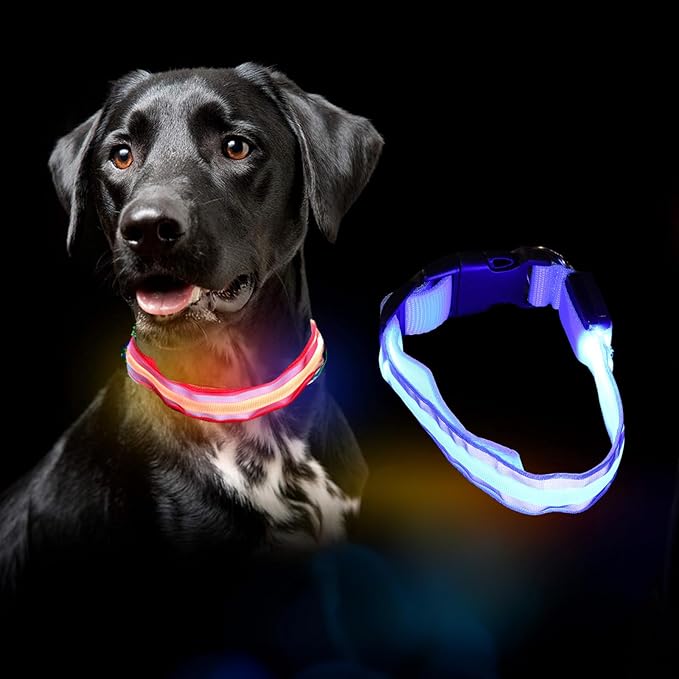 MANON ROSA LED Dog Collar USB Rechargeable Light Up Dog Collar Adjustable Nylon Soft Mesh Safety Glowing Collar for Small Medium Large Pet Dogs Cats-Nighttime Accessories (Blue,Medium)