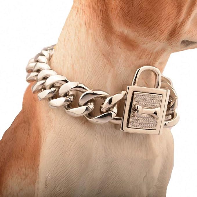 Lakke 19mm Golden Lock Stainless Steel Pet Dog Collar Apparels Metal Durable Puppy Dog Cat Gold Silver Collar Training Necklaces 10A