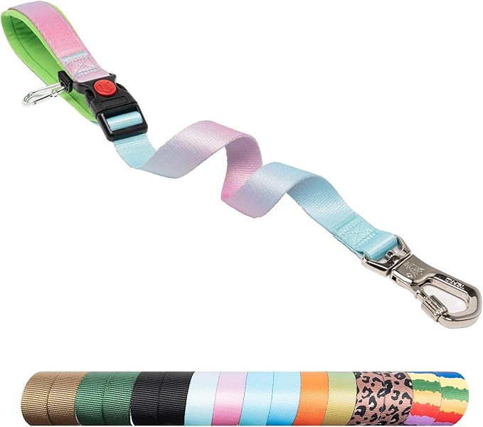 TSPRO Dog Training Leash with Sturdy Metal Buckle, 26 Inches Adjustable Short Leash for Large Dogs, Comfortable Padded Handle (Blue - Pink Gradient)