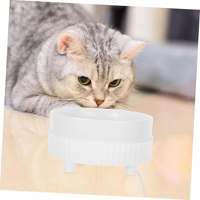 BESPORTBLE Pet Feeder Ceramic Bowl Automatic Cat Water Dispenser Warm Water Bowl Noisy Indoor Cat Safety