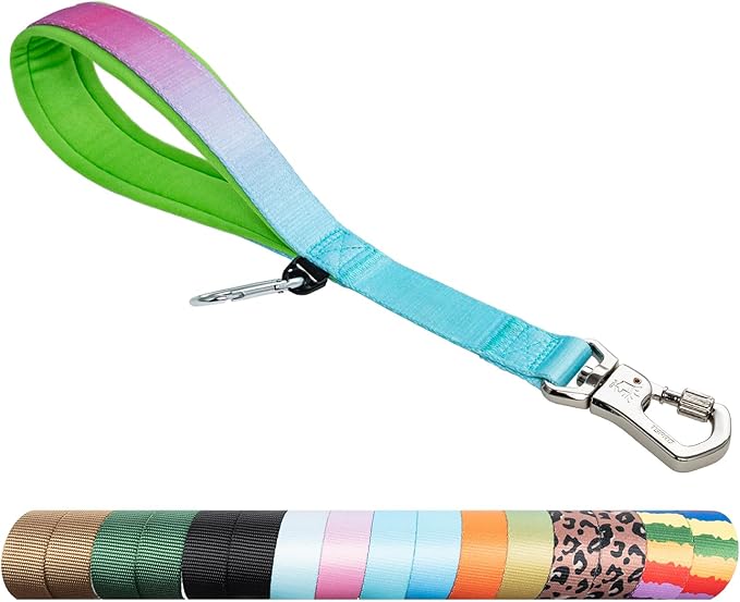 TSPRO Dog Training Leash with Sturdy Metal Buckle, 14 Inches Short Leash for Large Dogs, Comfortable Padded Handle (Blue - Pink Gradient)