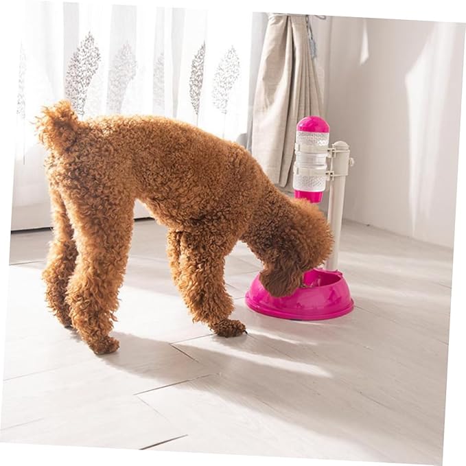 Strong Sturdy Dog Water Dispenser Water Dispenser Feeder Pet Feeding Bowl Automatic Cat Easy to Clean