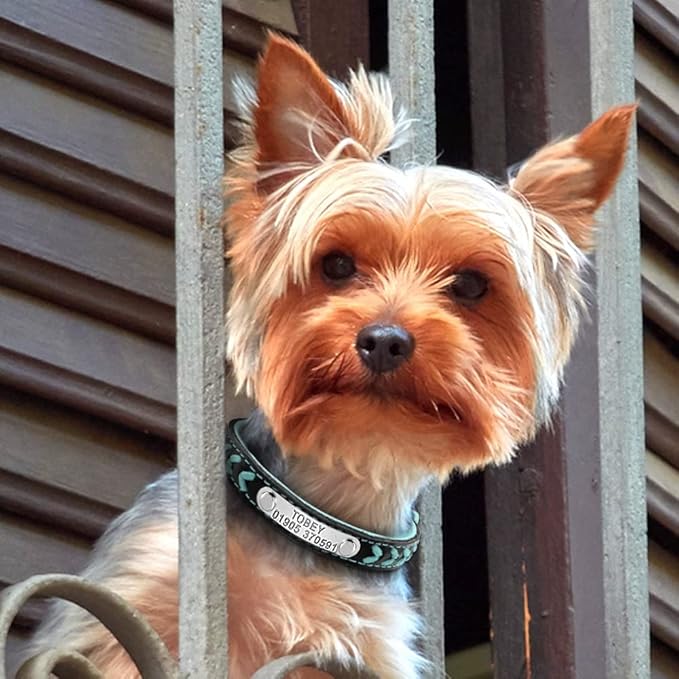 Customized Dog Collars Adjustable Padded Leather Personalized Pet Name ID Collar Free Engraving for Small Medium Large Dogs Cats Blue S