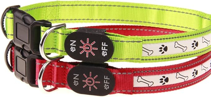 POPETPOP Led Dog Collar Rechargeable Glowing Pet Necklace Fit for Night Safety USB Charging Design for Evening Walks and Camping