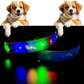 LED Dog Collar, 15 Light Modes, USB-C Rechargeable, Silicone Material, Adjustable Size, (Blue Pro, M(11.8-15.7"))