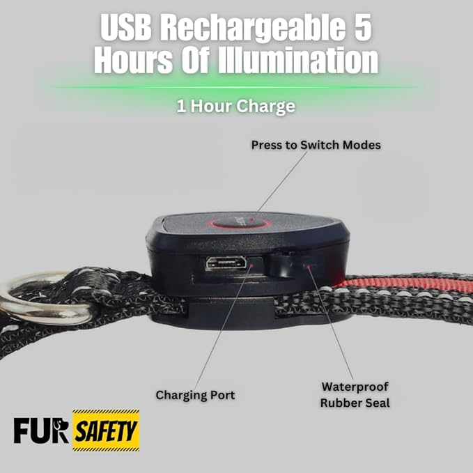 FUR-Safety Dog LED Collar - Animal Collar, Nylon, High Visibility, Adjustable Light Modes - S/M/L, Blue/Green/Orange/Pink/Red/Yellow - for Outdoor Night Activities (Blue, Large)