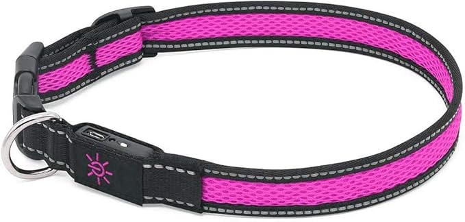 LED Dog Collar Rechargeable with Heavy Duty Electric USB Cable, Glow in The Dark with Luminous Night Reflective, Nylon Ribbon and Reflective Dog Collar for Small Medium Large Dogs (S(35-40cm), Pink)