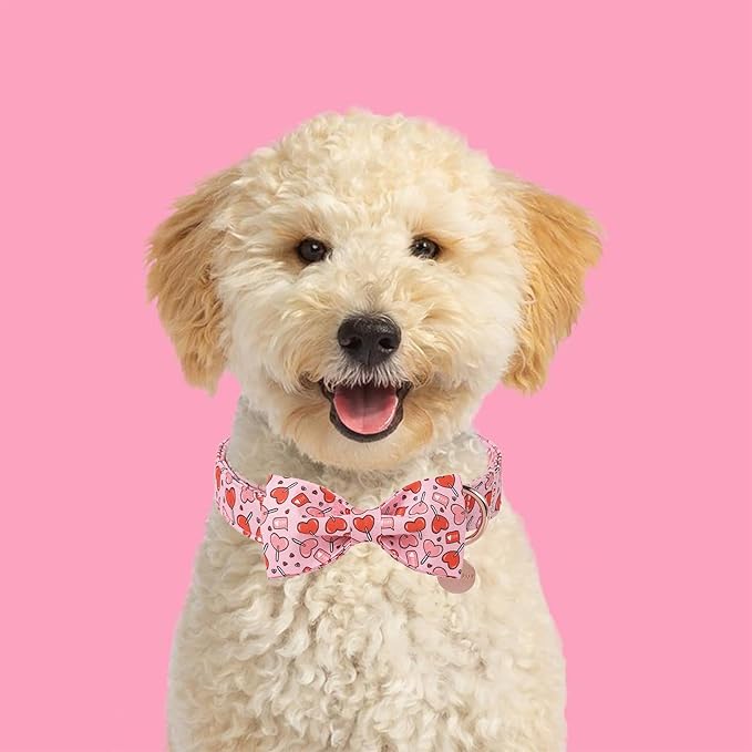 Valentine’s Day Dog Collar with Bow Tie, Pink Heart Bowtie Collar with Metal Buckle, Valentine’s Day Gift Pet Collar for Puppy Girl Boy Dog or Cat, Wedding Dog Collar, S, Neck 10-16in