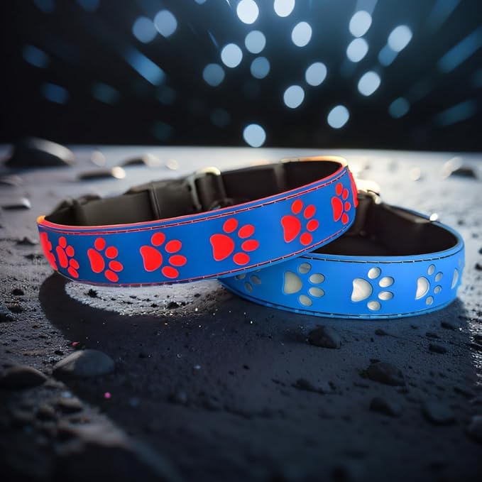 Personalized Xmas Hallowmas Flashing USB-C led Light up Dog Collar with Waterproof airtag Holder,Night Walking Dog Collar (Blue, M(11.8-15.7"))