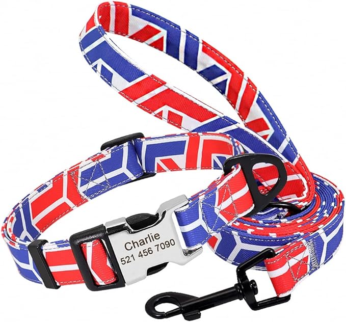 Cute Custom Dog Collar Leash Personalized Fruit Print Nylon Dog Collar Lead Engraved Name ID for Small Medium Large Dog Pitbull 160 Blue Set L