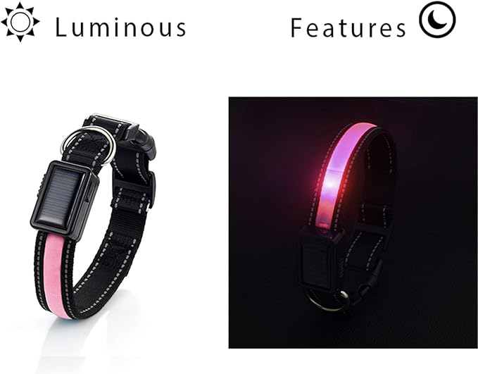 Avaner Reflective Dog Collar, Solar/USB Charging LED Light-up Pet Collar, Adjustable Nylon Collar for Dog