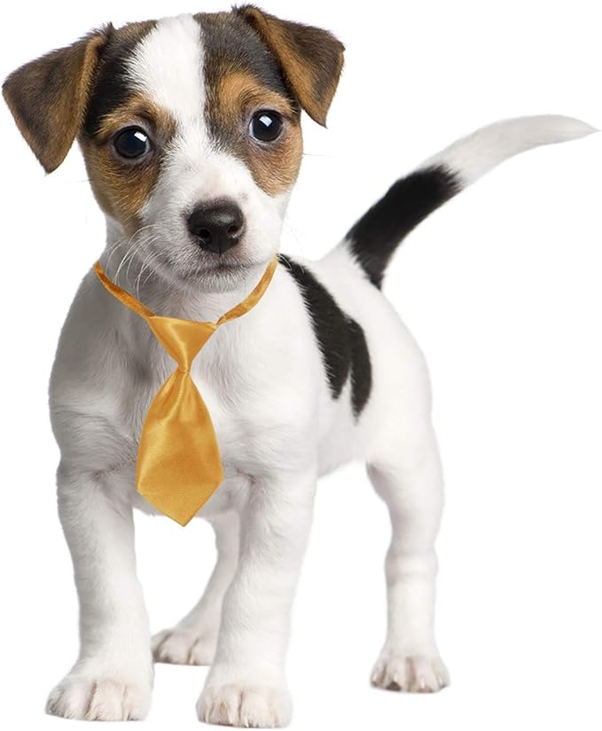 Segarty Small Dog Ties, 40 PCS Dog Neck Bow Tie with Adjustable Solid Color Pet Bowtie Collar for Wedding Holiday Birthday Christmas Costumes Grooming Accessories, Bulk Necktie Gift for Cat Puppy Pets