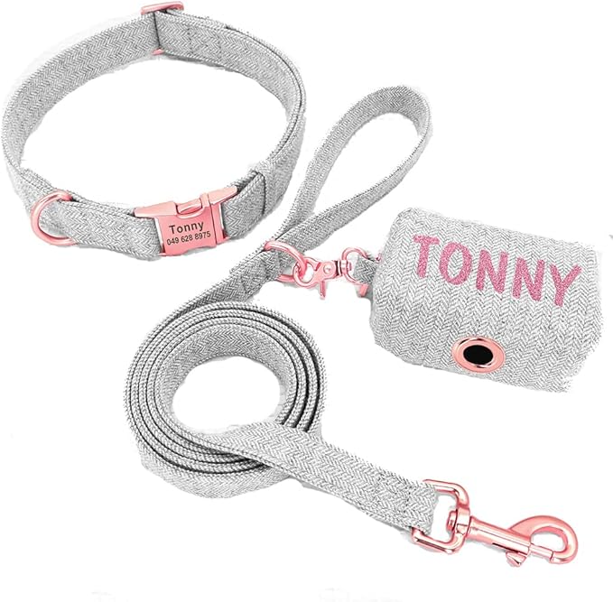 Personalized Dog Collar with Leash Custom Dog Waste Bag Dispenser Engraved Pet Collar Walk Lead Outdoor Pet Poop Bag Portable Gray S