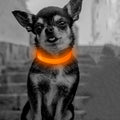 Candofly Light Up Dog Collar, USB Rechargeable Glowing Puppy Collar, Dog Camping Essentials - LED Collars for Night Walking (X-Small, Orange)