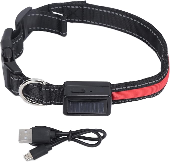 Light Up Dog Collar, Glow in The Dark Dog Collar Adjustable Lighted Safety USB Rechargeable LED for Small for Nighttime Walking Camping (L)