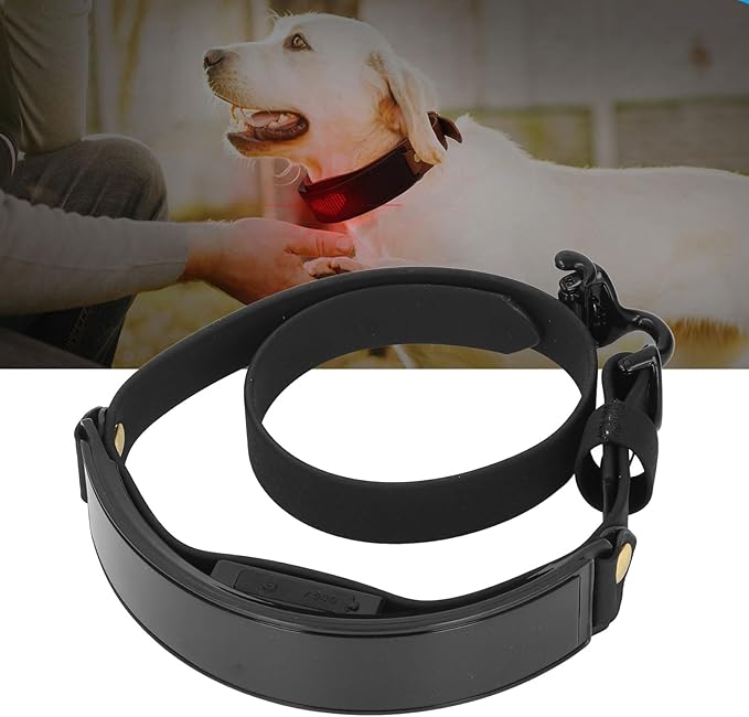 LED Dog Collar, Smart DIY Screen, Dog Tags Personalized Rechargeable Light Up Dog Collar in The Dark Pet Necklace for Night Walking, APP Controlled(Blue Green and Red) (Red