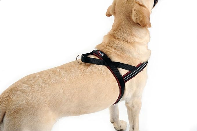 ComfortFlex Sport Dog Harness – No-Choke, Fully Padded, Non-Chafing Harness with Control Handle – Reflective, Lightweight, Adjustable for Active Dogs - XSmall, Purple