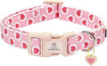 Lionheart glory Valentine's Day Dog Collar - Pink Heart Dog Collar Adjustable Soft for Medium Girl Boy Dogs Spring Party Holiday Pet Collars