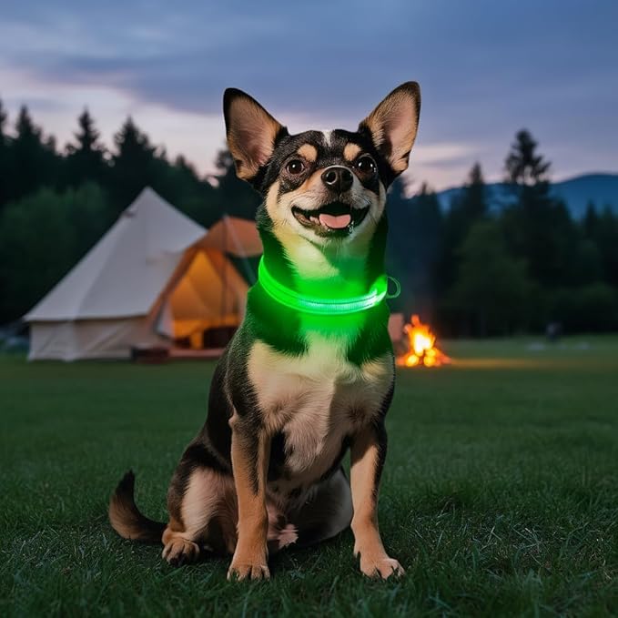 Light Up Dog Collar for Small Dogs - LED Dog Collar Rechargeable Adjustable Puppy Collars, Glow in The Dark Dog Lights for Night Walking（X-Small, Green）