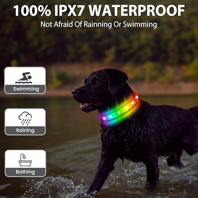 Light Up Dog Collar - Multicolor LED Dog Collar with 3 Glow Modes, Rechargeable Glow in The Dark Dog Collars for Small, Medium & Large Dogs, 1000 Ft Visibility, IPX7 Waterproof (Black, M)