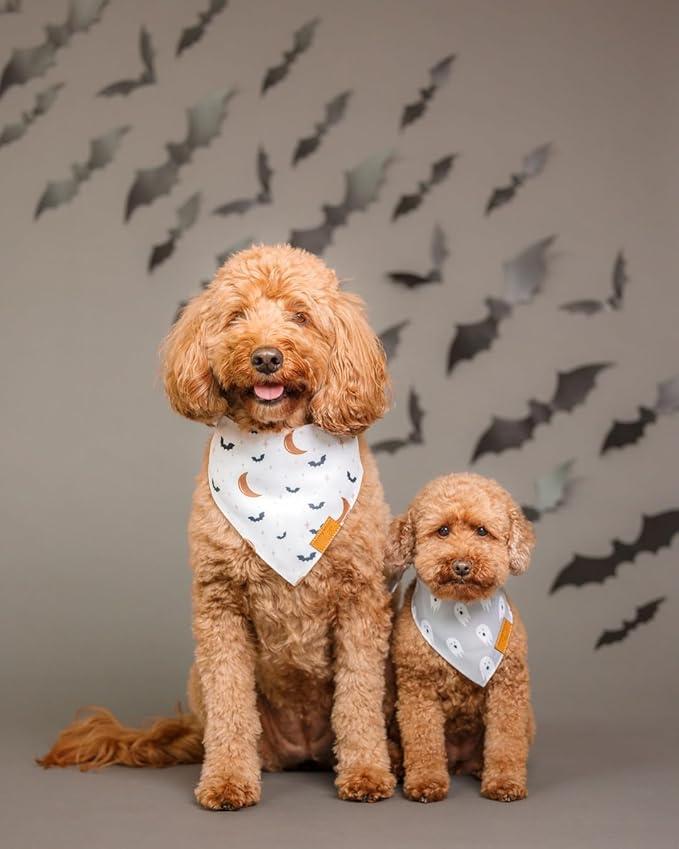 Remy+Roo Dog Bandanas - 2 Pack | Halloween Dog Bandanas Wicked Set | Premium Durable Fabric Bandanas for Dogs | Unique Shape | Adjustable Fit | Multiple Sizes Offered (X-Large)