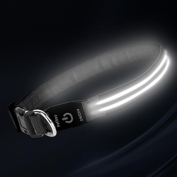 PetIsay Dog Light up Collar for Night Walking - High Visibility LED Dog Collar - Rechargeable - Waterproof - Reflective - Adjustable Lighted Glow Collars(White,Medium)