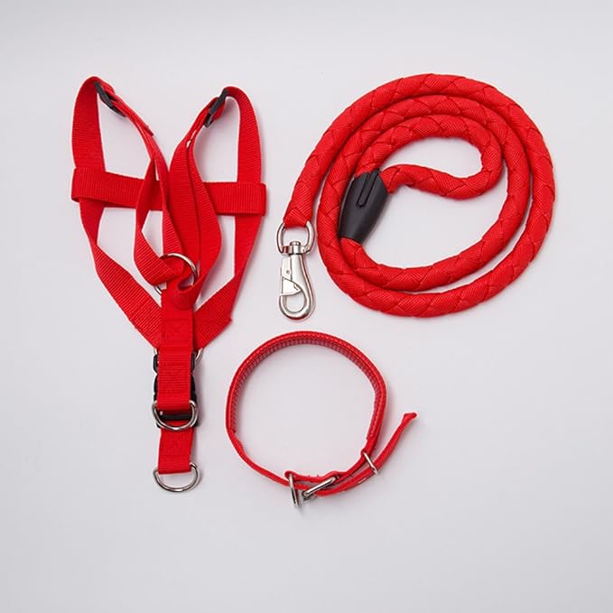 Durable Nylon Braided Dog Leash Dog Harness Dog Collar No Pulling Adjustable Harness Soft Padded Collar for Small Dog/Puppy/Cat