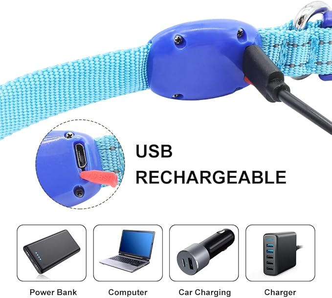 Light Up Dog Collar for Small Dogs, LED Dog Collar Rechargeable Safety Dog Lights, Fully Adjustable Glow in The Dark Dog Collar Light for Night Walking & Camping (X-Small, Blue)