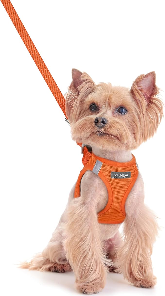 rabbitgoo Dog Harness Small Sized and Leash Set, Step in Soft Light Puppy Vest, Breathable Mesh Pet Harness, Reflective for Safe Easy Walking, Orange XXXS