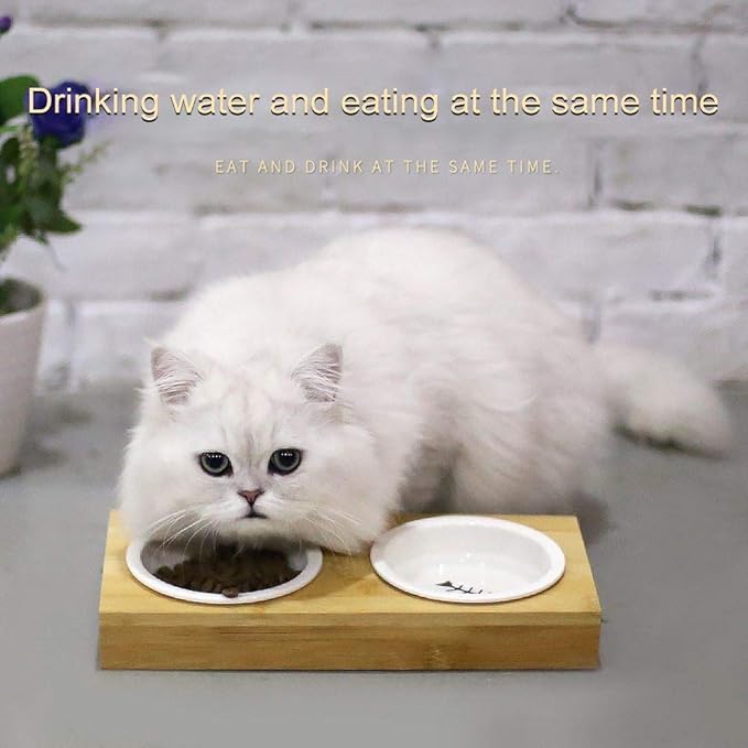 Automatic Feeder Pet Dog Bowl Bamboo Pet Ceramic Drinking and Feeding Bowl Combination with Bamboo Pet Cat Dog Feeder Bamboo Stand Portable