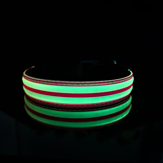 Dog Collar with Lights, 15 Lighting Modes Silicone Pet Collar, USB C Rechargeable LED Dog Collar for Night Safety, Adjustable Soft Glowing Collar for Dogs (DB-RED, XS(7.87-11.8"))