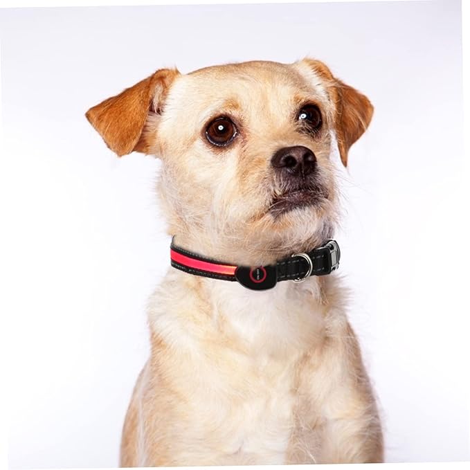 VANZACK 1Set Luminous Pet Dog Collar with USB Charging Flashing LED Collar for Safety During Fits Dogs Up to Comfortable and Durable Design