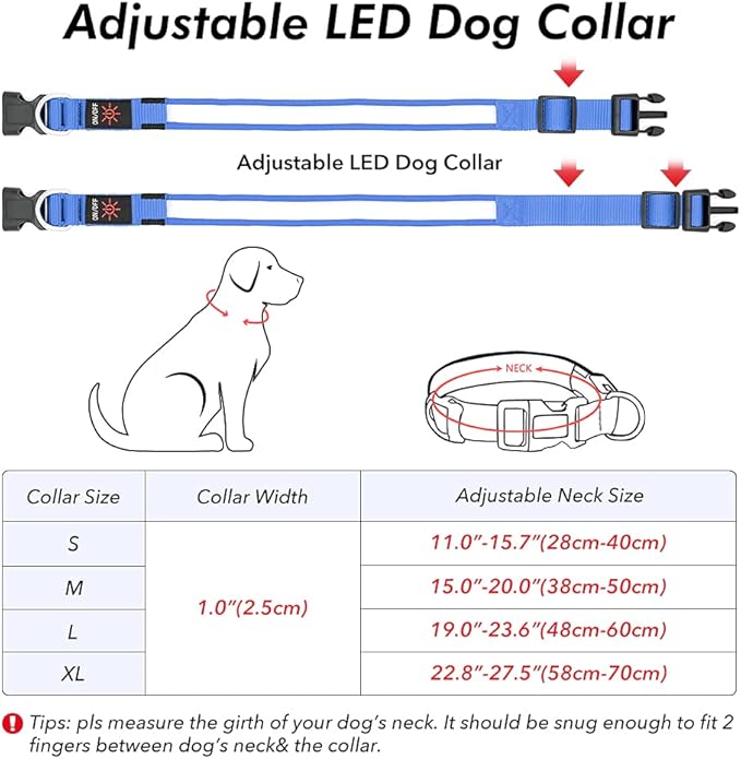 BSEEN Light Up Dog Collars - Reflective LED Dog Collar, Rechargeable Dog Glow Collar, Waterproof Glowing Dog Collar Lights for Night Walking (Royal Blue, Large)