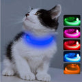 Candofly Light Up Dog Collar - USB Rechargeable Glowing Puppy Collar, Glow in The Dark Dog Lights for Night Walking Camping(X-Small, Blue)