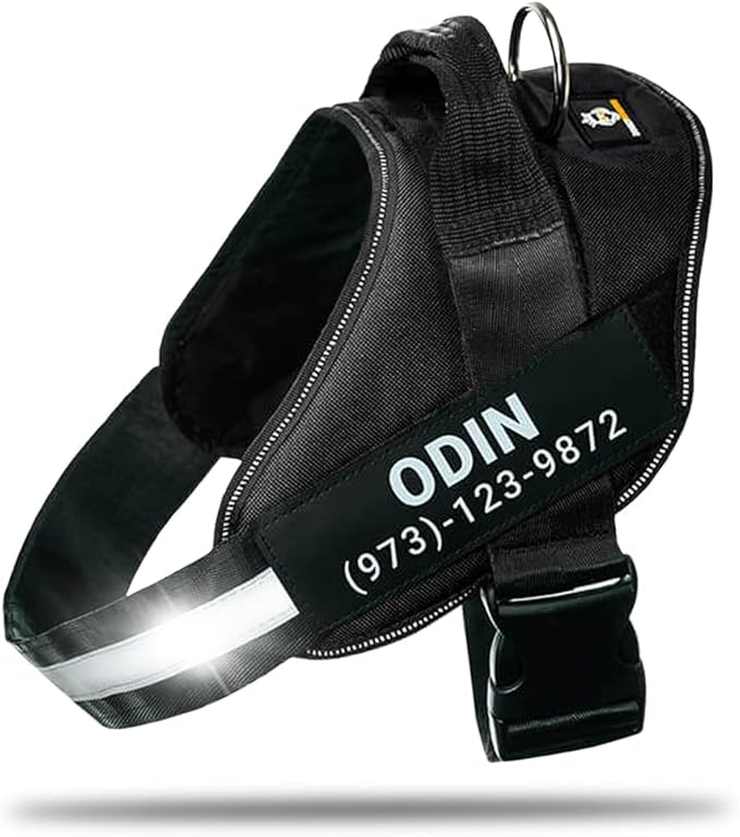 Personalized No-Pull Dog Harness with Name Patch, Adjustable, Reflective, Padded, Heavy Duty Pet Vest to Prevent Tugging, Pulling, or Choking, Training and Walking, Black, S