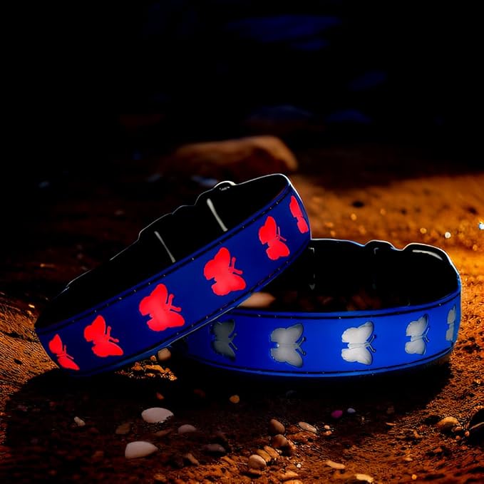 USB-C led Light up Dog Collar, 3D Design Comfortable and Soft Material,Multicolored Lighting，Night Dog Collar (BT-Blue, M(15.7-19.7"))