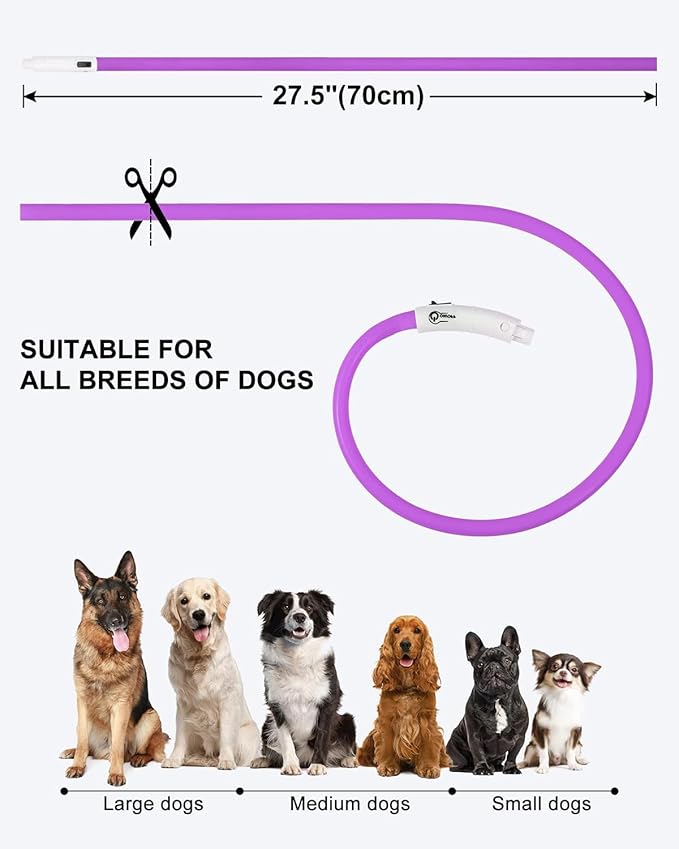 Joytale Light Up Dog Collar, Rechargeable Rainproof LED Collar for Night Walking Safety, Soft Silicone Glow in The Dark, Suitable for Small Medium Large Dogs, Purple
