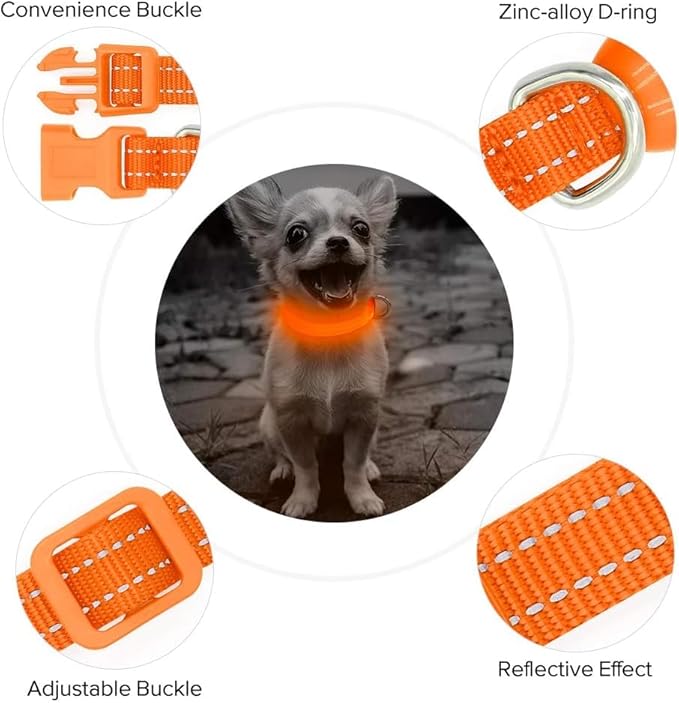 BSEEN Light Up Dog Collar, Reflective LED Dog Collar Rechargeable Glowing Puppy Collar for Puppies & Cats，Safety Dog Lights for Night Walking (Orange)