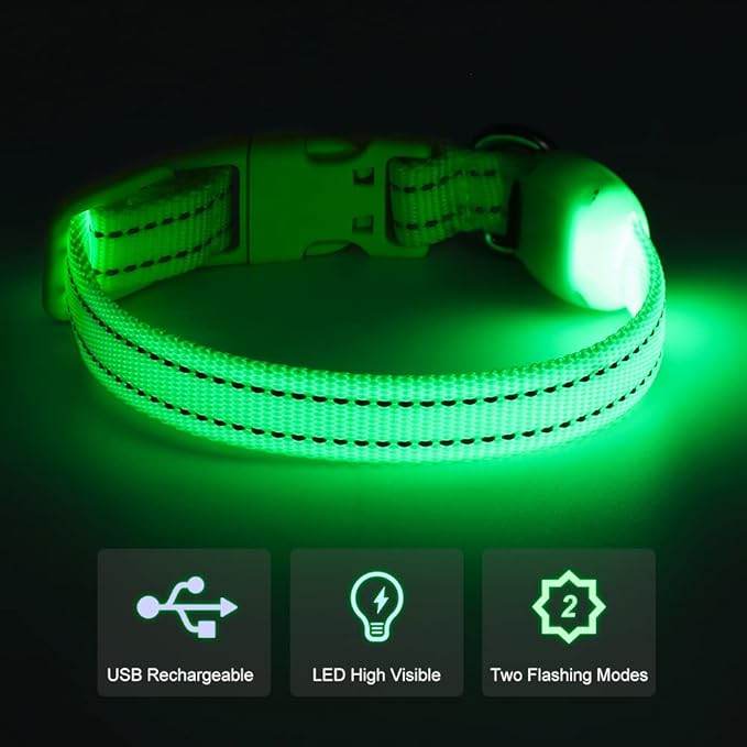 Light Up Dog Collar for Small Dogs - LED Dog Collar Rechargeable Adjustable Puppy Collars, Glow in The Dark Dog Lights for Night Walking（X-Small, Green）
