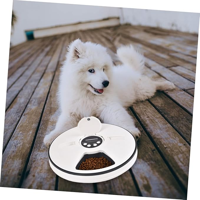 Pet Feeder Pet Bowl Pet Food Container Cat Food Container Pet Feeding Bowl Pet Feeding Supplies Cat Feeding Plate Cat Food Feeder Pet Food Bowl Cat Feeding Bowl
