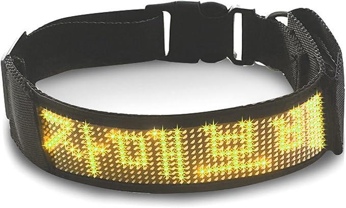LED Collar, Programmable LED Collar with Mobile Connection, High Visibility Single Color Rechargeable Pet Dog Safety Flashing Light Up, Basic Collars (Yellow)