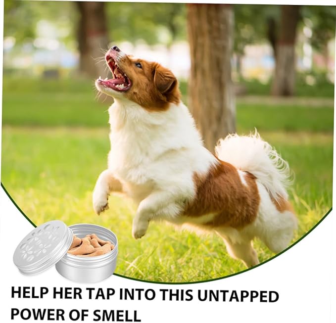 Milisten 12pcs Dog Scent Training Boxes for Nose Work Agility Training Equipment for Pets for Encouraging Sniffing and Playtime Activities