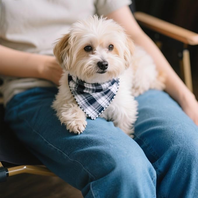 Double Layers Two Tones Dog Cotton Square Bandana Bibs Scarf Kerchief for Small Medium Dogs Boy or Girl - DCB05 B&G