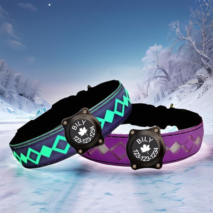 Personalized Flashing Night Dog Collar with Waterproof airtag Holder for Black Dog Night Walking (Purple, S(7.87-11.8"))