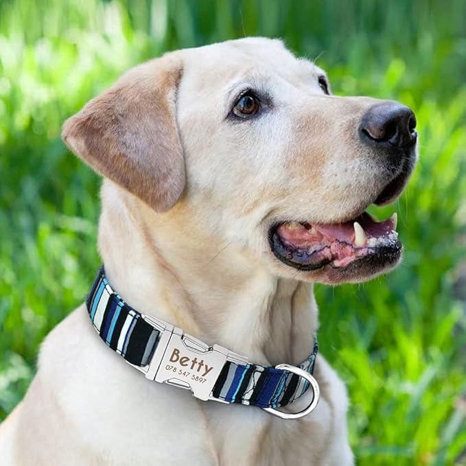 Dog Collar Personalized Nylon Small Dogs Puppy Collars Engrave Name ID for Small Medium Large Pet Pitbull German Shepherd 1 M